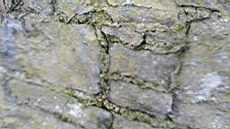 acastle 105795.jpg